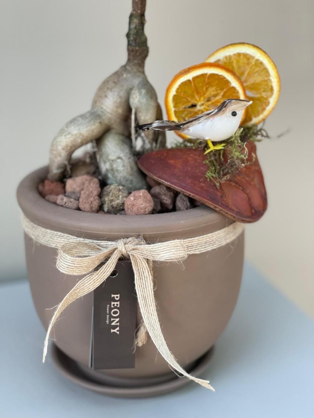Bonsai Ağacı